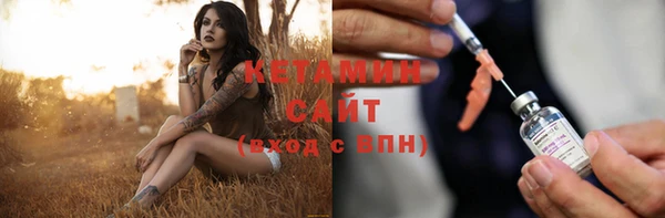 крисы Алексин