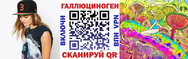 где найти наркотики Новозыбков Галлюциногенные грибы Psilocybine cubensis