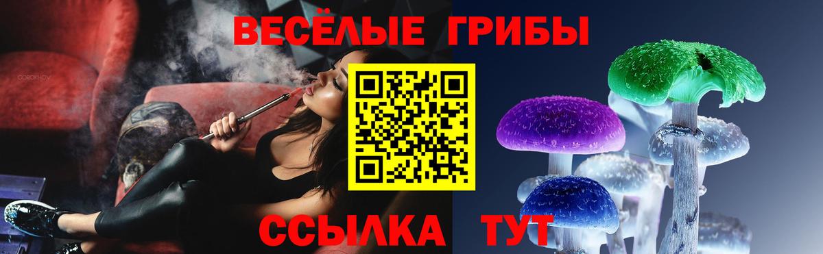 Новозыбков  Галлюциногенные грибы Cubensis  Вход с VPN  Псилоцибиновые грибы мицелий 