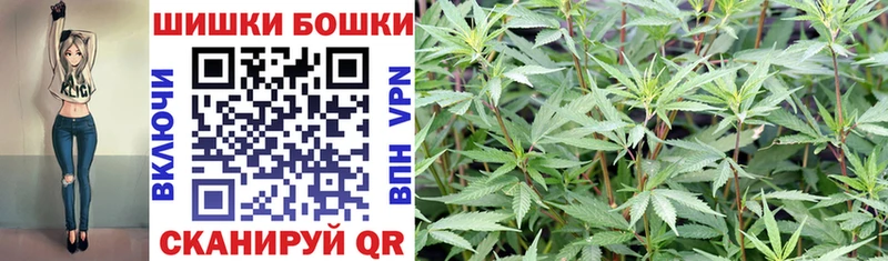 продажа наркотиков  Новозыбков  Шишки марихуана THC 21% 