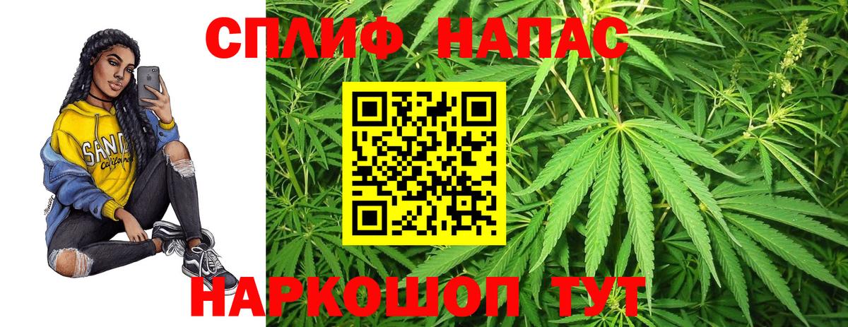Конопля Amnesia Новозыбков